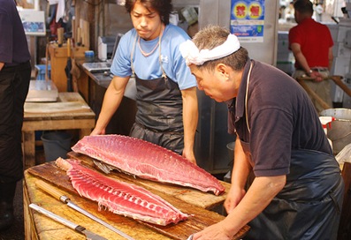 japones e peixe