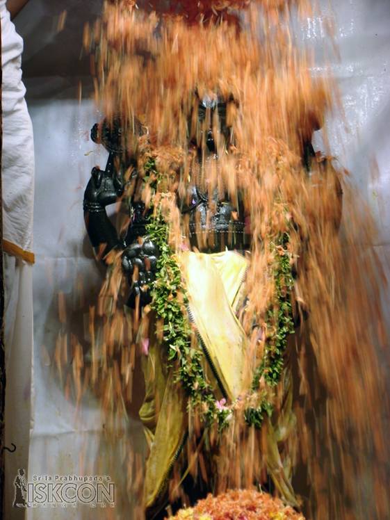 Bathing Lord Balaji with Flowers - Photo 2