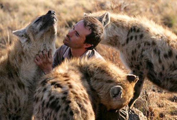 Ranger with hyenas