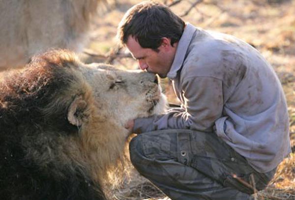 Ranger with a lion