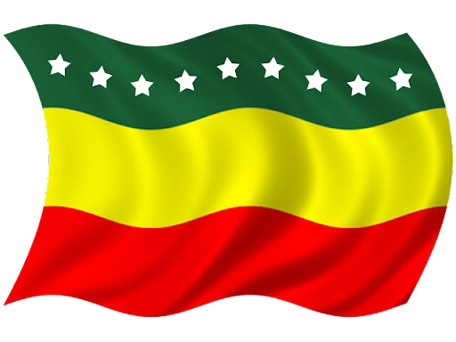 Bandera del Cantón Piñas
