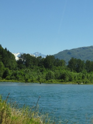 [DSC07620 Skagit River[2].jpg]