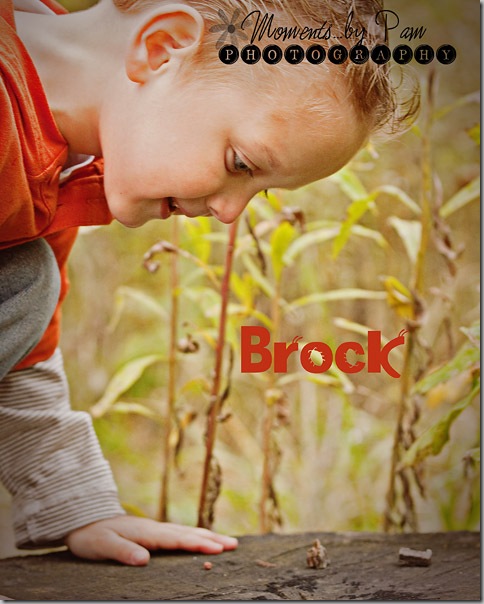 Brock 233 002 copy