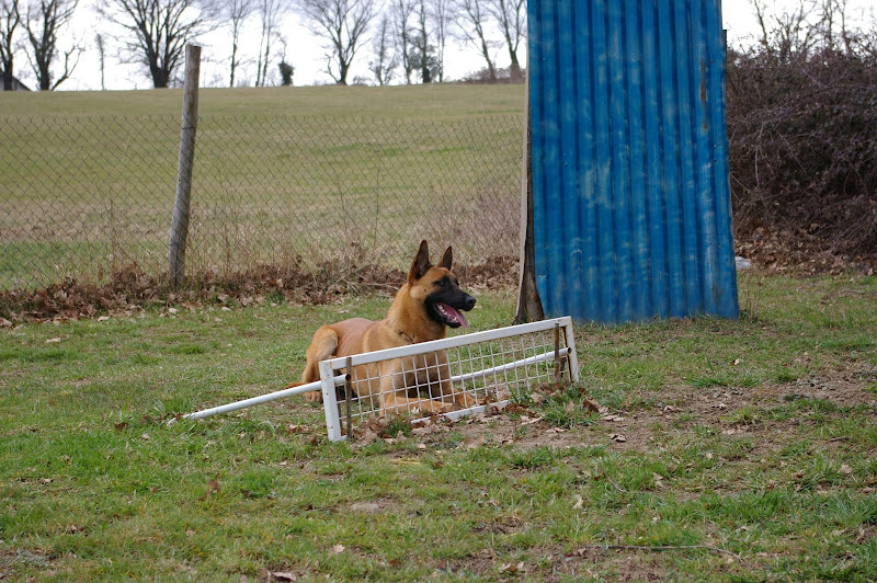IMGP0103.JPG