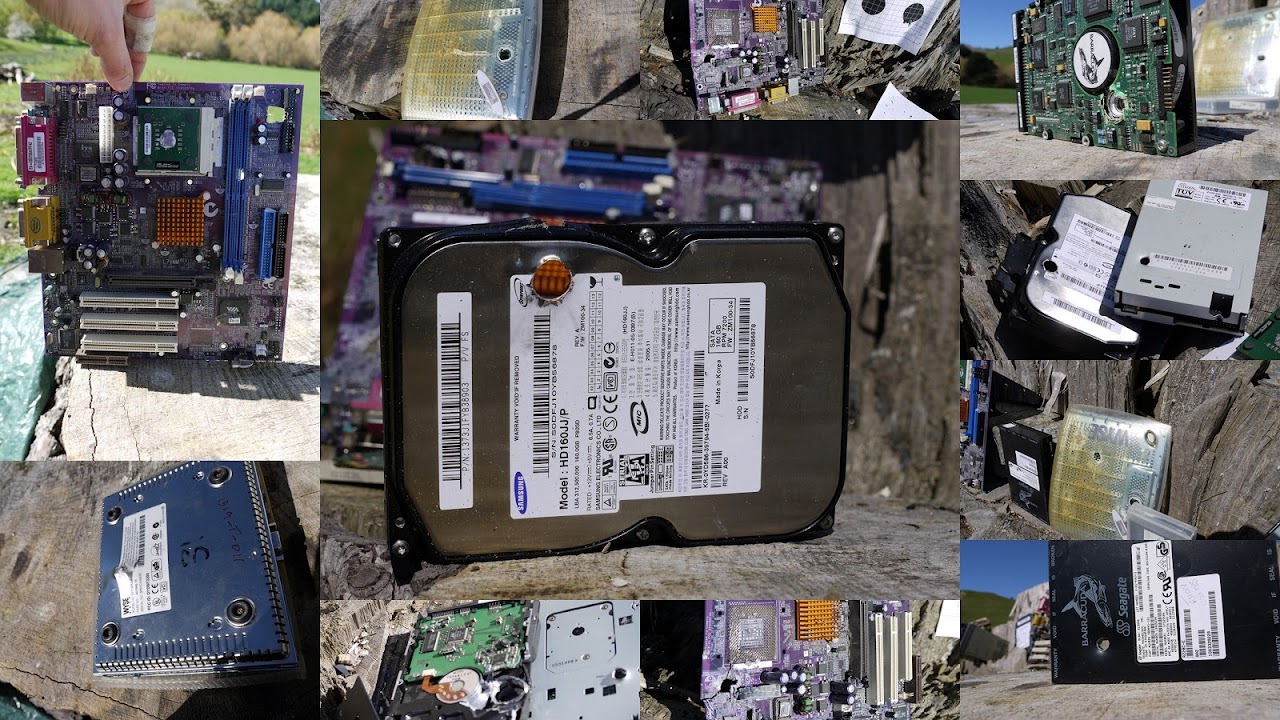 collage of stuff I 'shot'