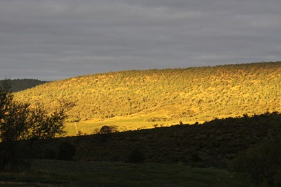 Sunset on the hills at Argadell's