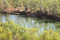 2010.05.27 at 11h04m15s - Millstream Chichester NP