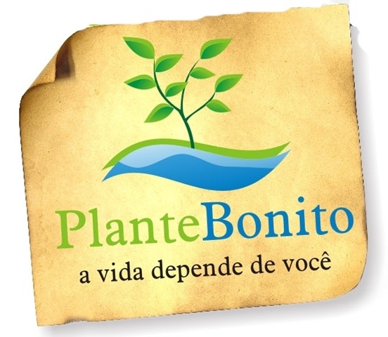 [plante_bonito_iasb[5].jpg]