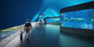 [aquario_pantanal_2c[2].jpg]