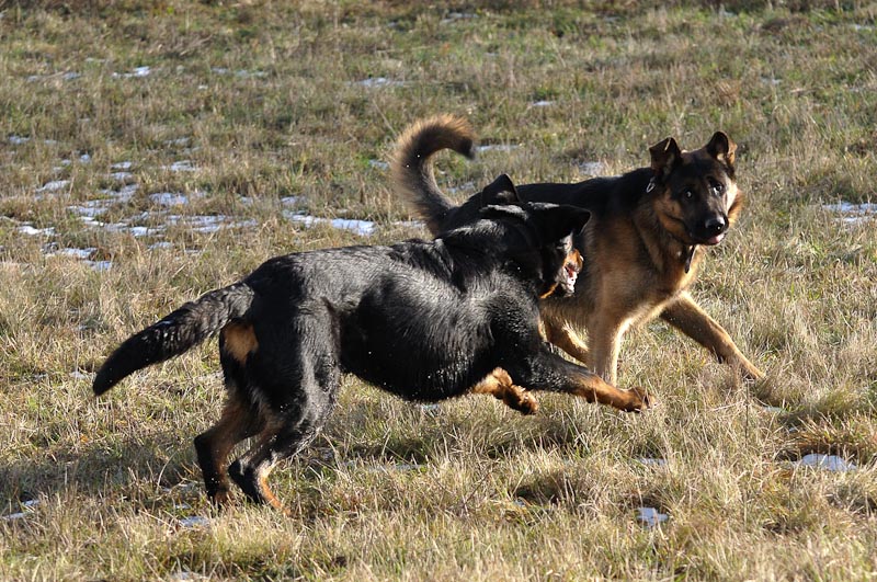 Esko%26Essarts0912%20015.jpg