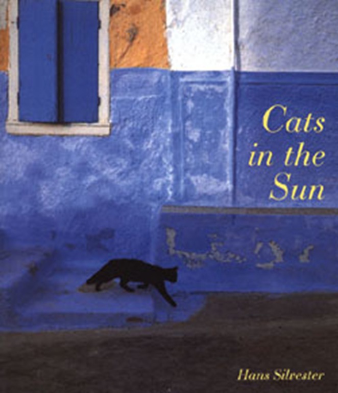 [Cats in the Sun[9].jpg]