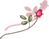 an1.png