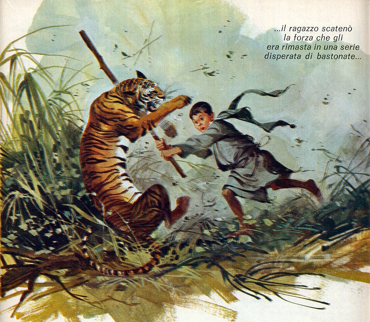 Corrierino e Giornalino Il ragazzo e la tigre Corrierino e Giornalino Il ragazzo e la tigre