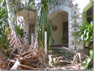 Overgrowth of the Mangroves