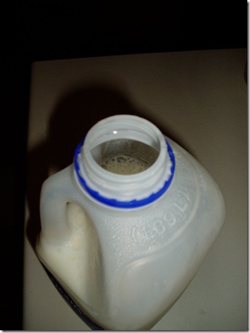 Milk-Jug-Ring