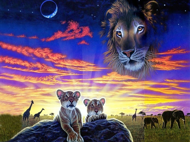 lion.jpg