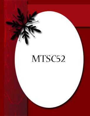 [MTSC52[2].jpg]