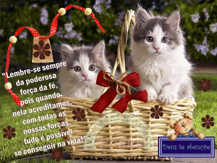 FOFIS.png