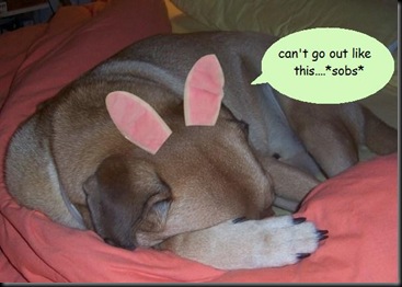 bunny ears sob caption