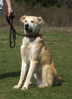 PICT0008.jpg