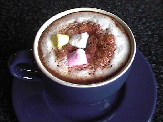 302027-Mocha-Hot-Chocolate