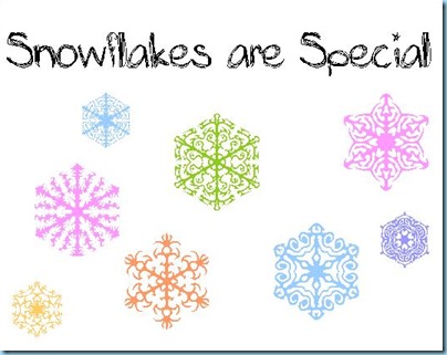 Snowflakes are Special2