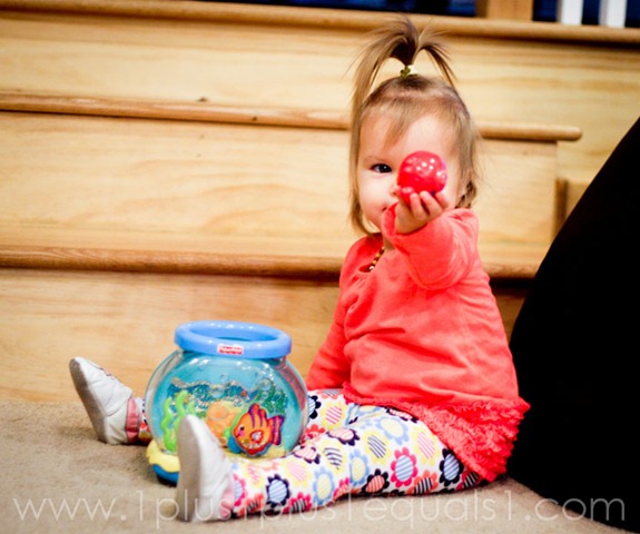 [IMG_50494.jpg]