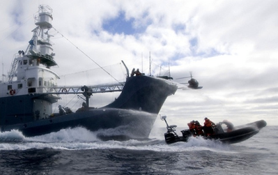 A Japanese harpoon ship pursues a Sea Shepherd inflatable boat. Sea Shepherd Conservation Society / Flickr