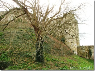 Carisbrooke Castle 04