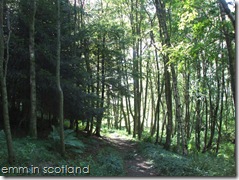 Loch Monzievaird (37)
