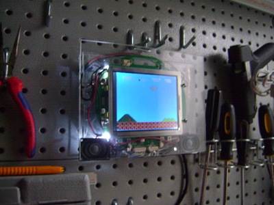 NES LCD Portrait 021