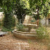 Huerto en restauracion 3.jpg