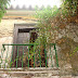 Huerto 3.jpg