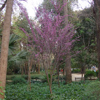 a Parque de María Luisa 12.jpg