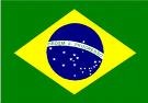 [brazil flag[3].jpg]