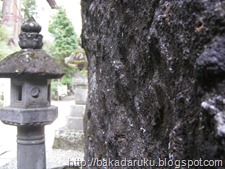 Haruna Shrine 05