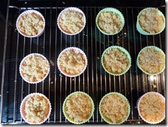 muffins roh