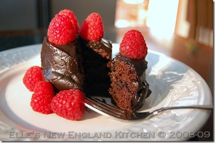 raw-chocolate-ganache-cake-2