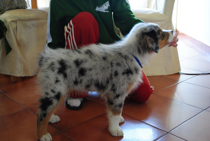 DSC_0112.JPG