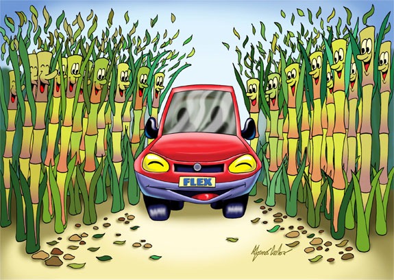 [flex_ilustracao[4].jpg]