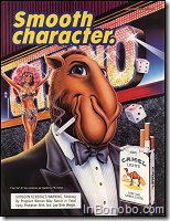 Camel - Smooth Character