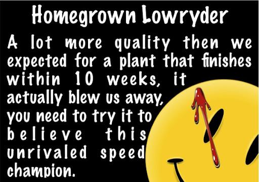 lowryder-page9.jpg