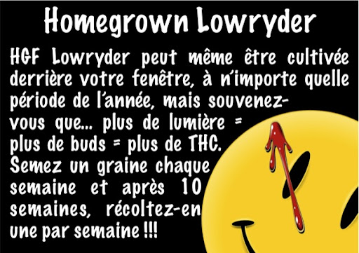 lowryder-page8.jpg