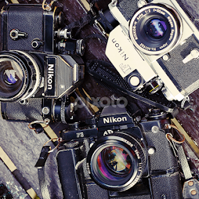 Nikon F family by Roberto Sinaga - Artistic Objects Antiques