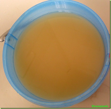 residui secchio granulometria inferiore a 2 mm acqua torbida
