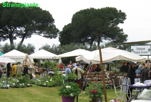 [autunno alla landriana 2010[2].jpg]