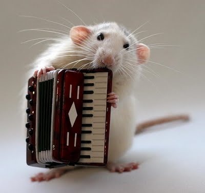 [awesome and cool musical mouse7[4].jpg]
