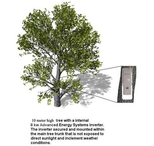[tree2009-01-03-12-29-38.395[4].jpg]