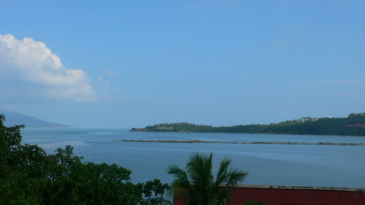 P1100506.JPG