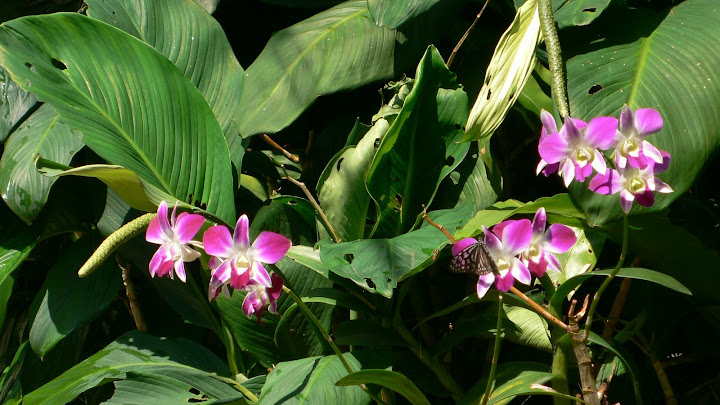 P1100519.JPG